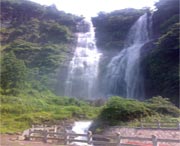 泰顺今天天气